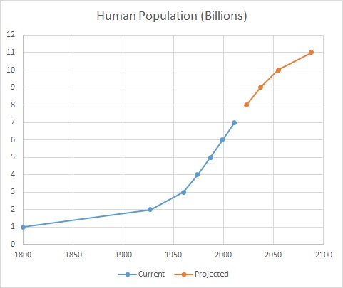 Human population on earth.